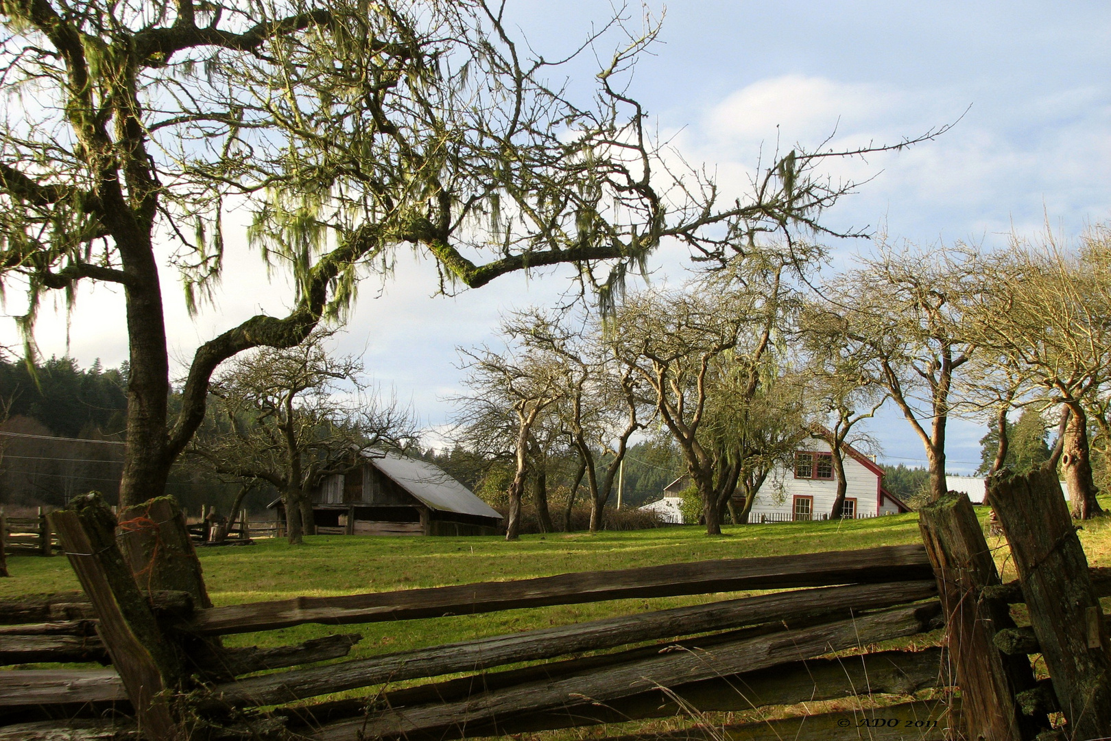 Rural Tranquility