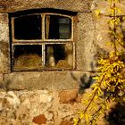 rural window in the morning sunlight