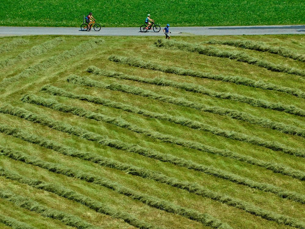 Ruralità e turismo