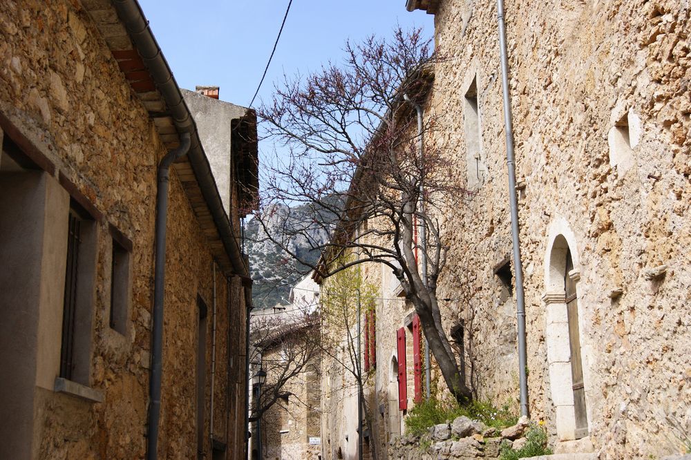 Ruralité : Harmonie arbres/murs