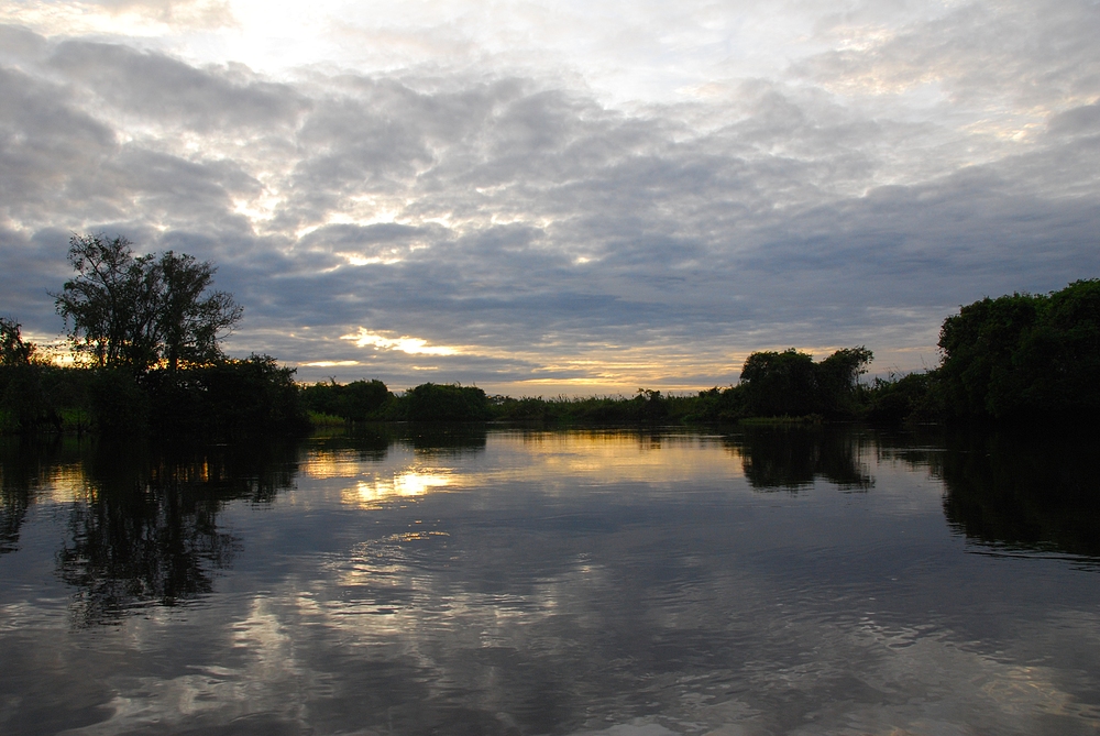 Rurrenabaque - Amazon Basin