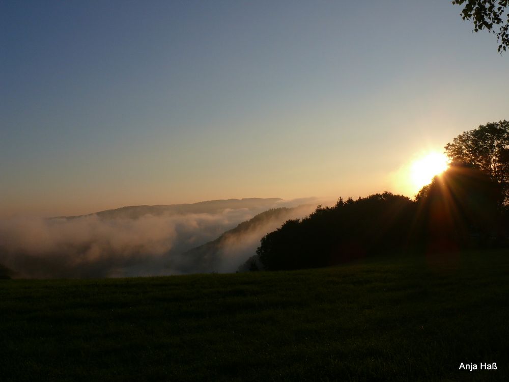 Rursee am Morgen