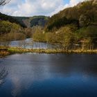 Rursee bei Einruhr