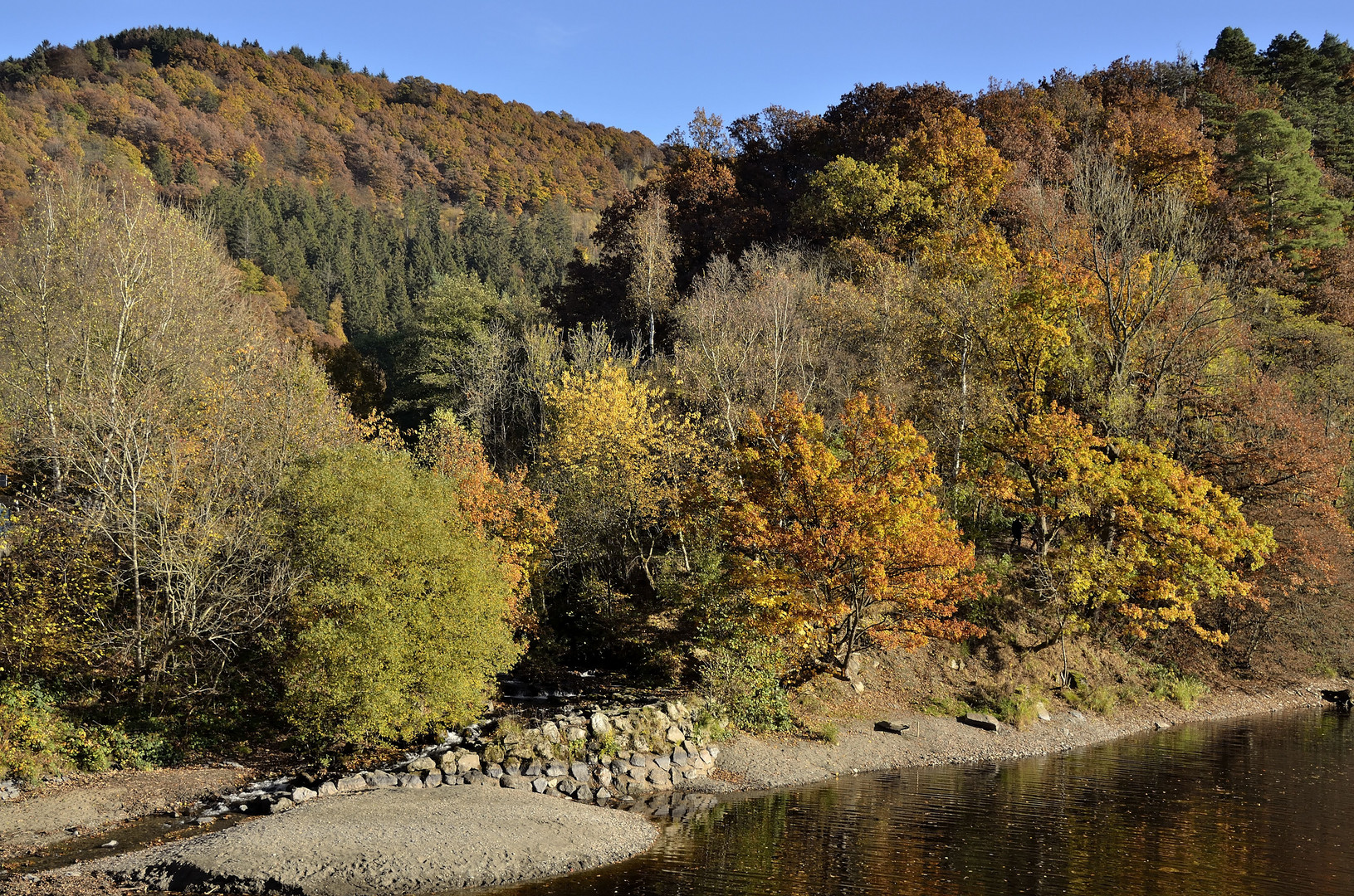 Rursee-Herbst 3