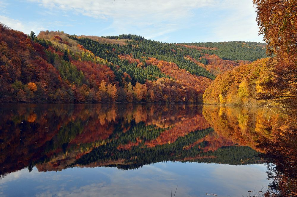 Rursee im Herbst