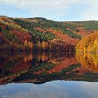 Rursee im Herbst