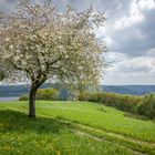 Rurseeblick - Eifel