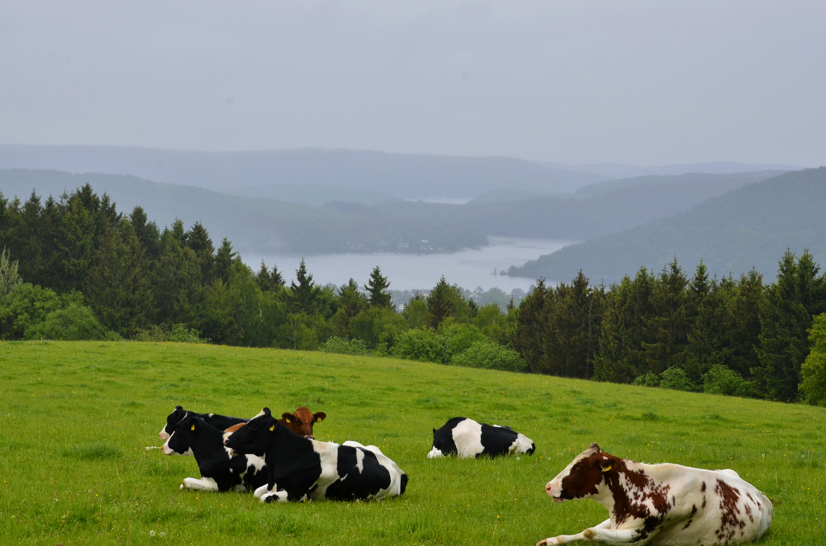 Rurseekulisse bei morgendlichem Nieselregen