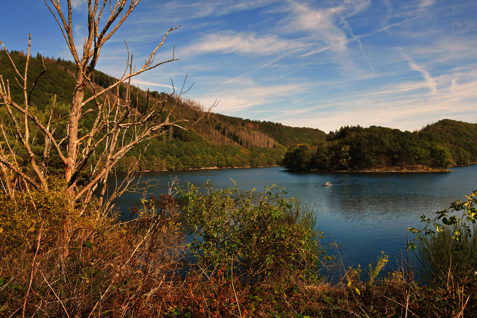 Rurtalsperre im Herbst