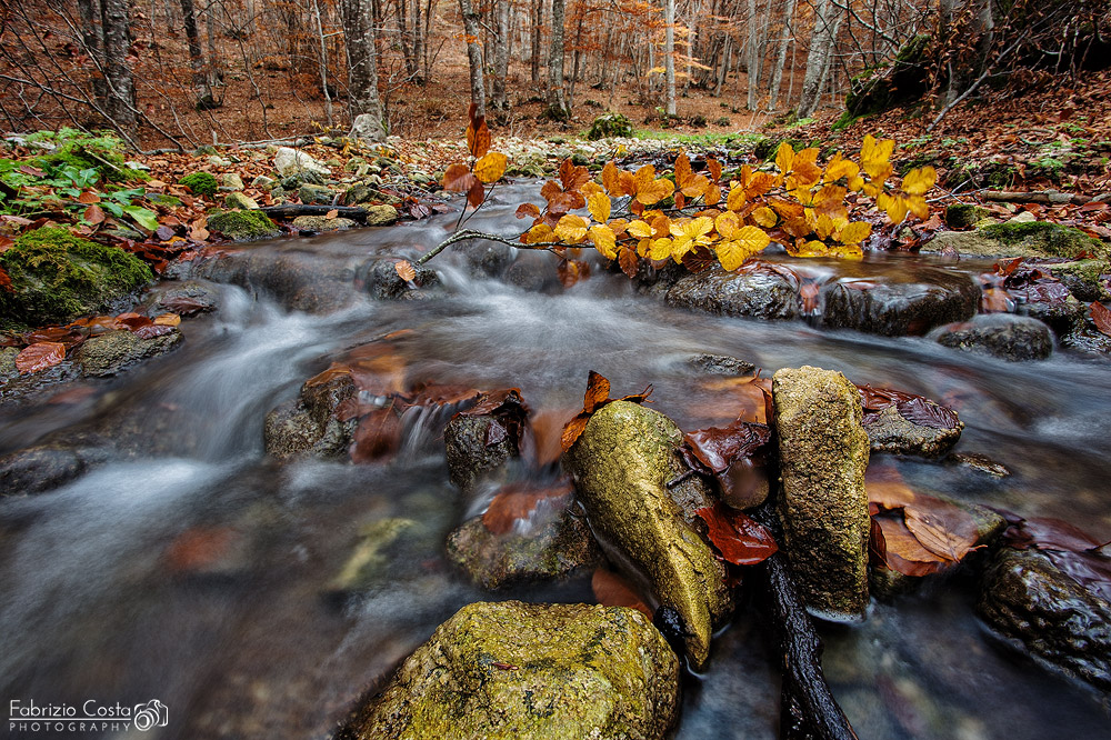 Ruscello autunnale