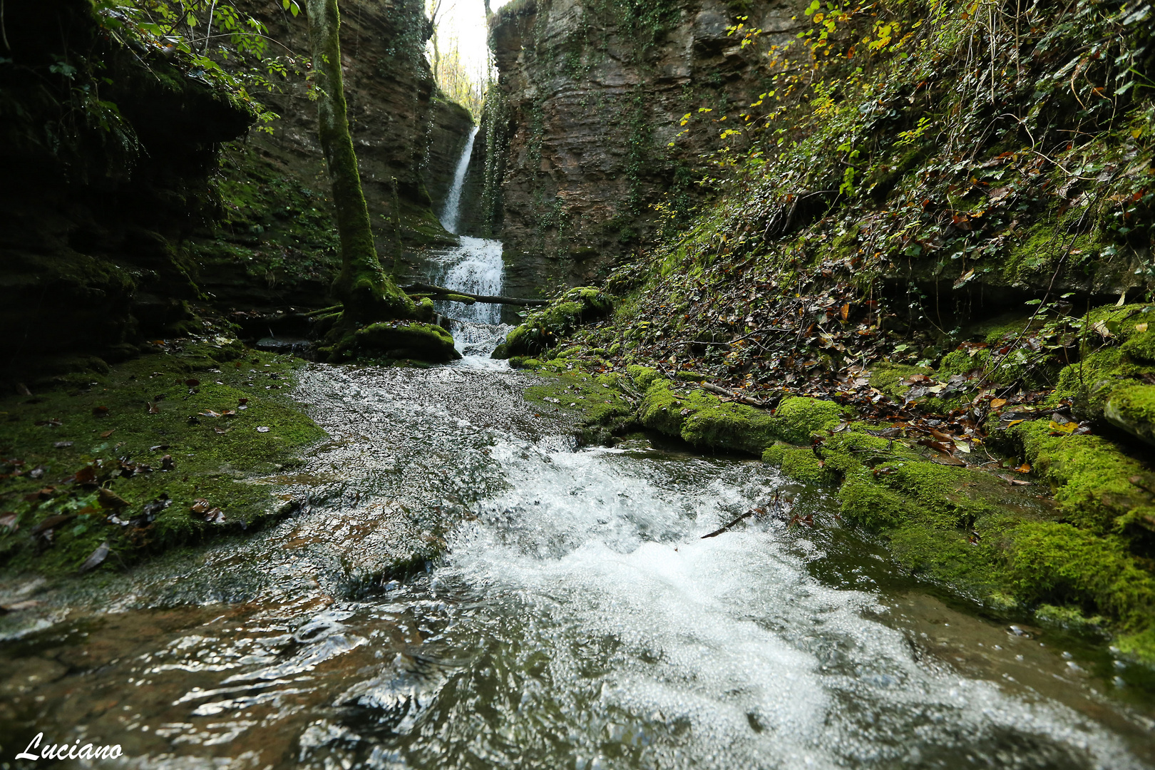 ruscello con cascate