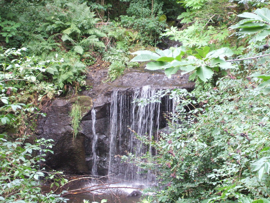 ruscello di montagna