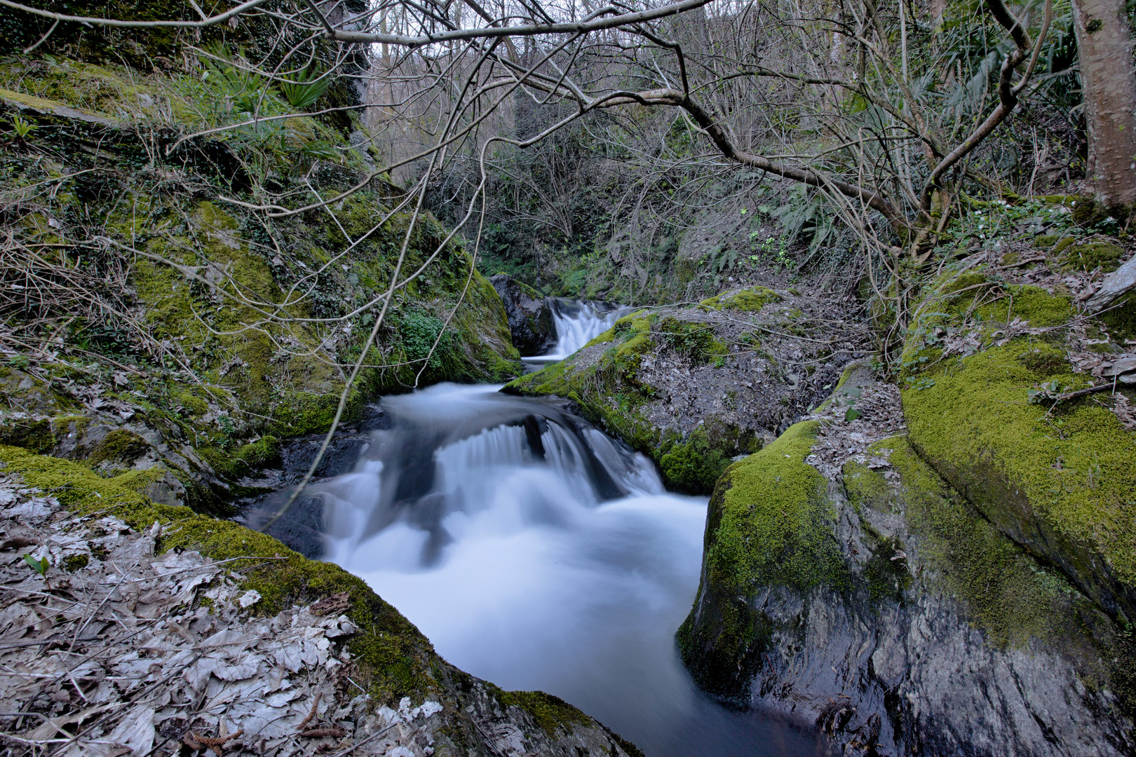 ruscello losone