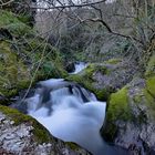 ruscello losone