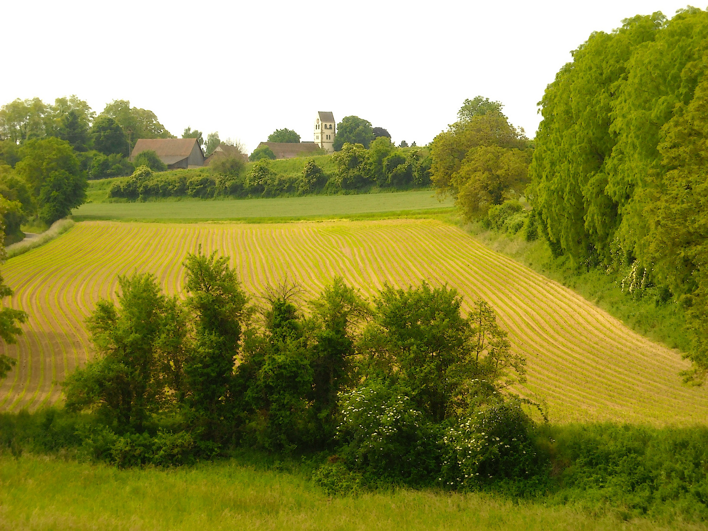 Ruschgraben im Sommer 9