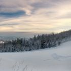 Rusel (856 m, Bayerischer Wald)