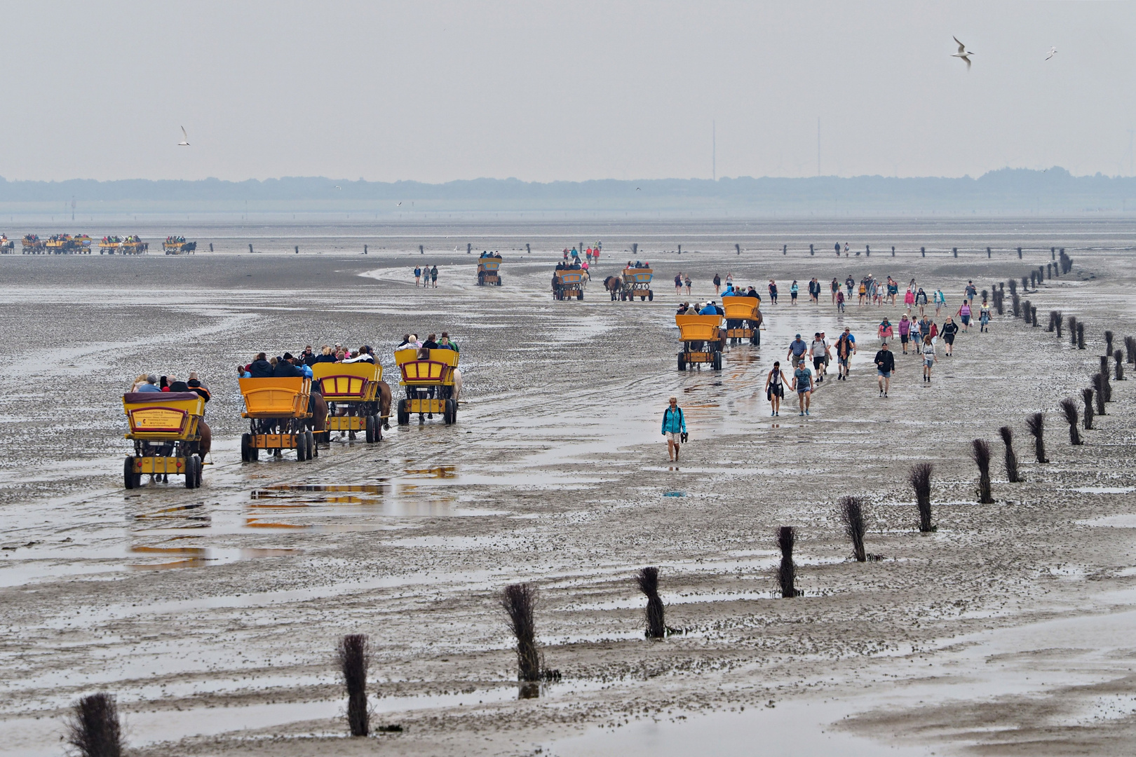 rush hour am Besenweg