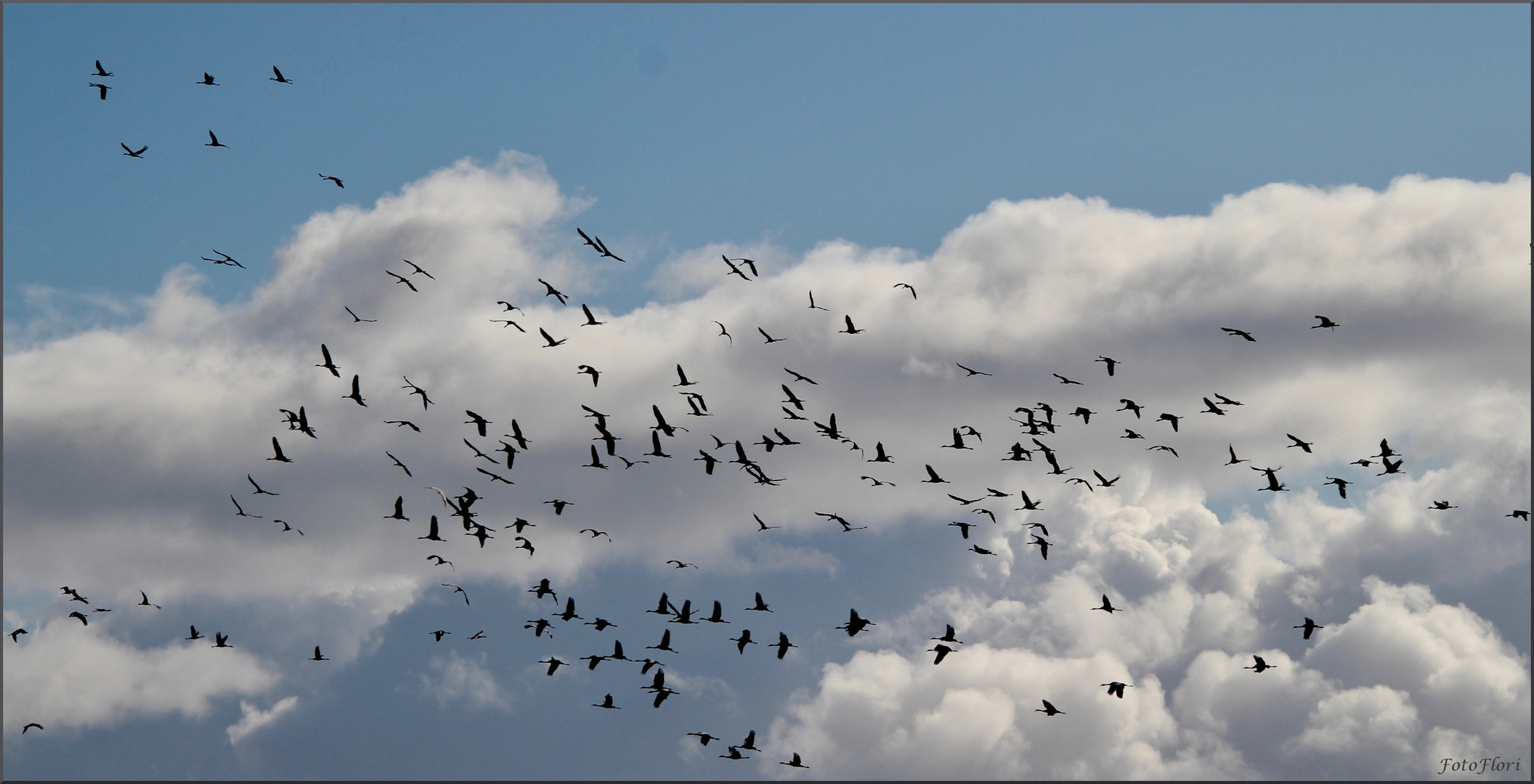 Rush Hour am Himmel