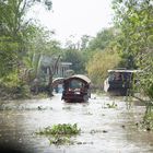 Rush hour am Mekong