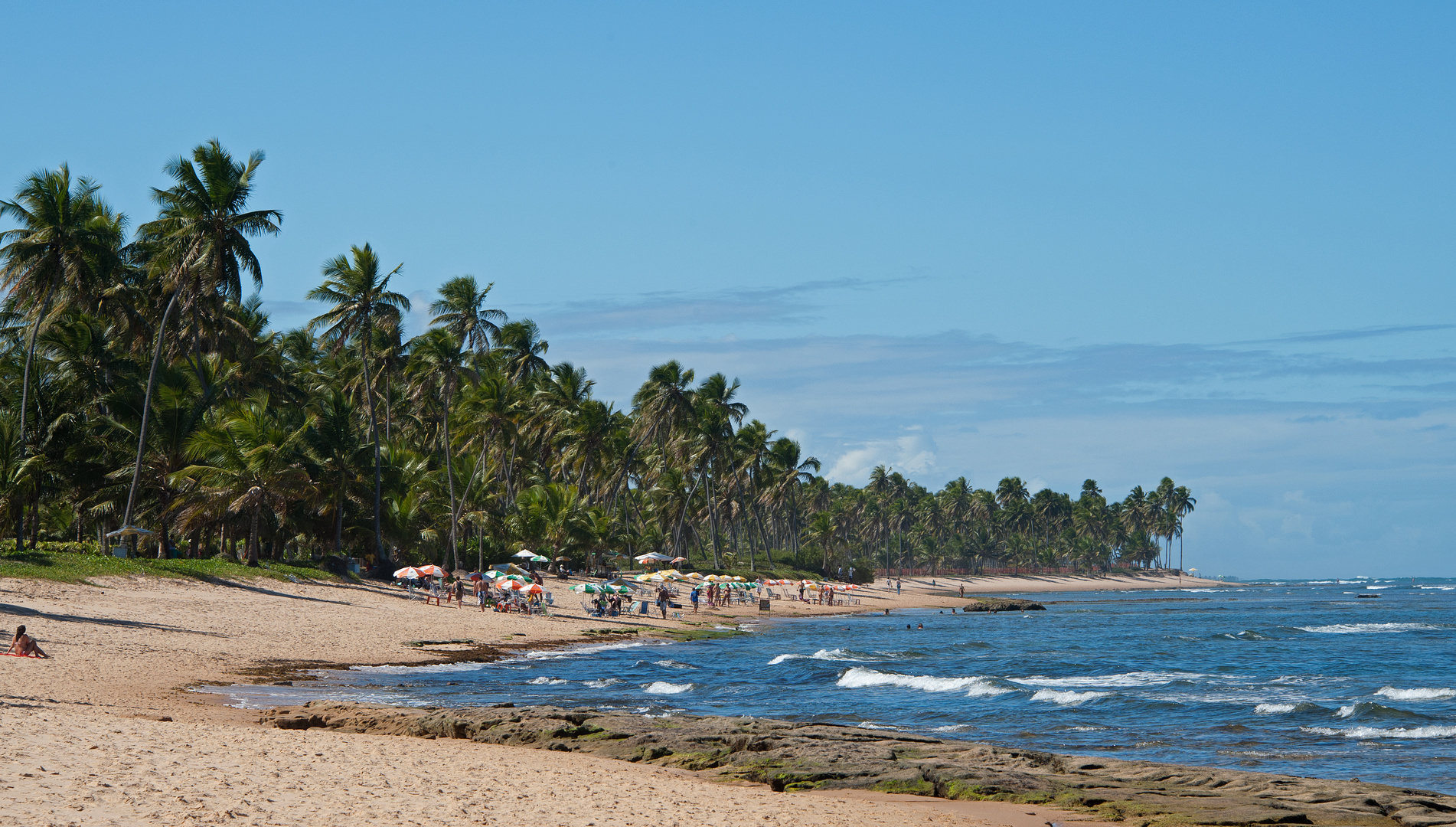 Rush Hour am Strand von Praia do Forte