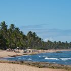 Rush Hour am Strand von Praia do Forte