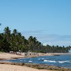 Rush Hour am Strand von Praia do Forte Version 2