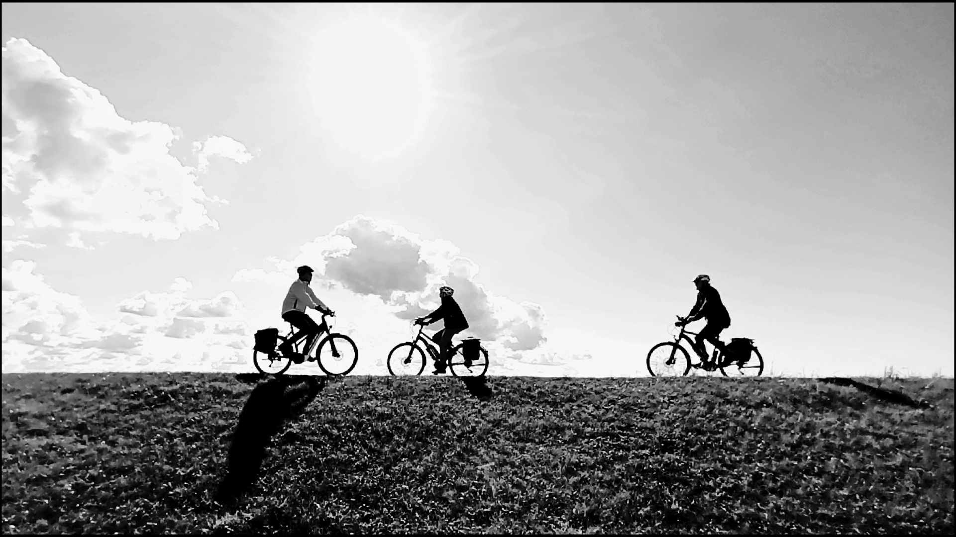 Rush Hour auf dem Deich