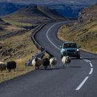 Rush hour auf Isländisch