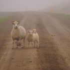 rush-hour in Iceland