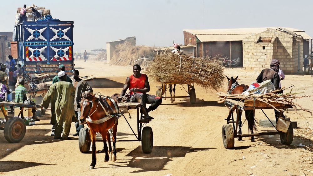 Rush-Hour in Senegal