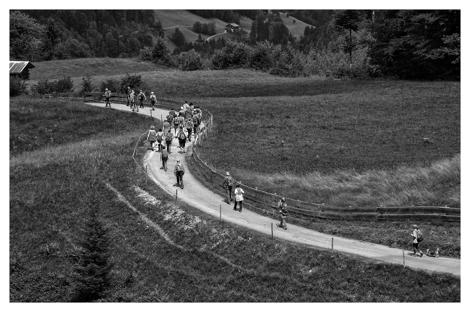 rush hour in the mountains