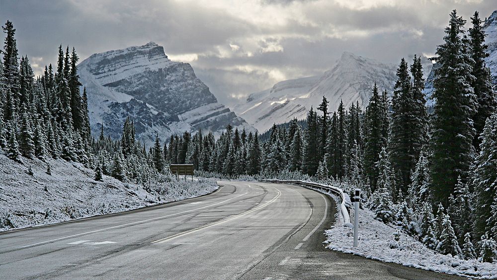 rush hour in the rocky mountains