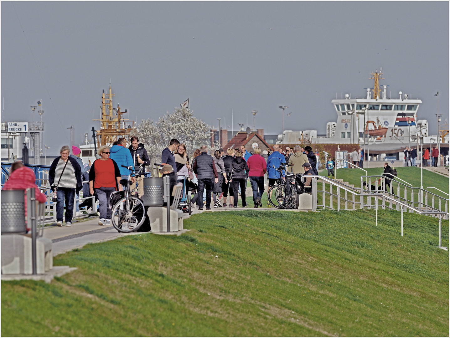 Rush-hour Norddeich