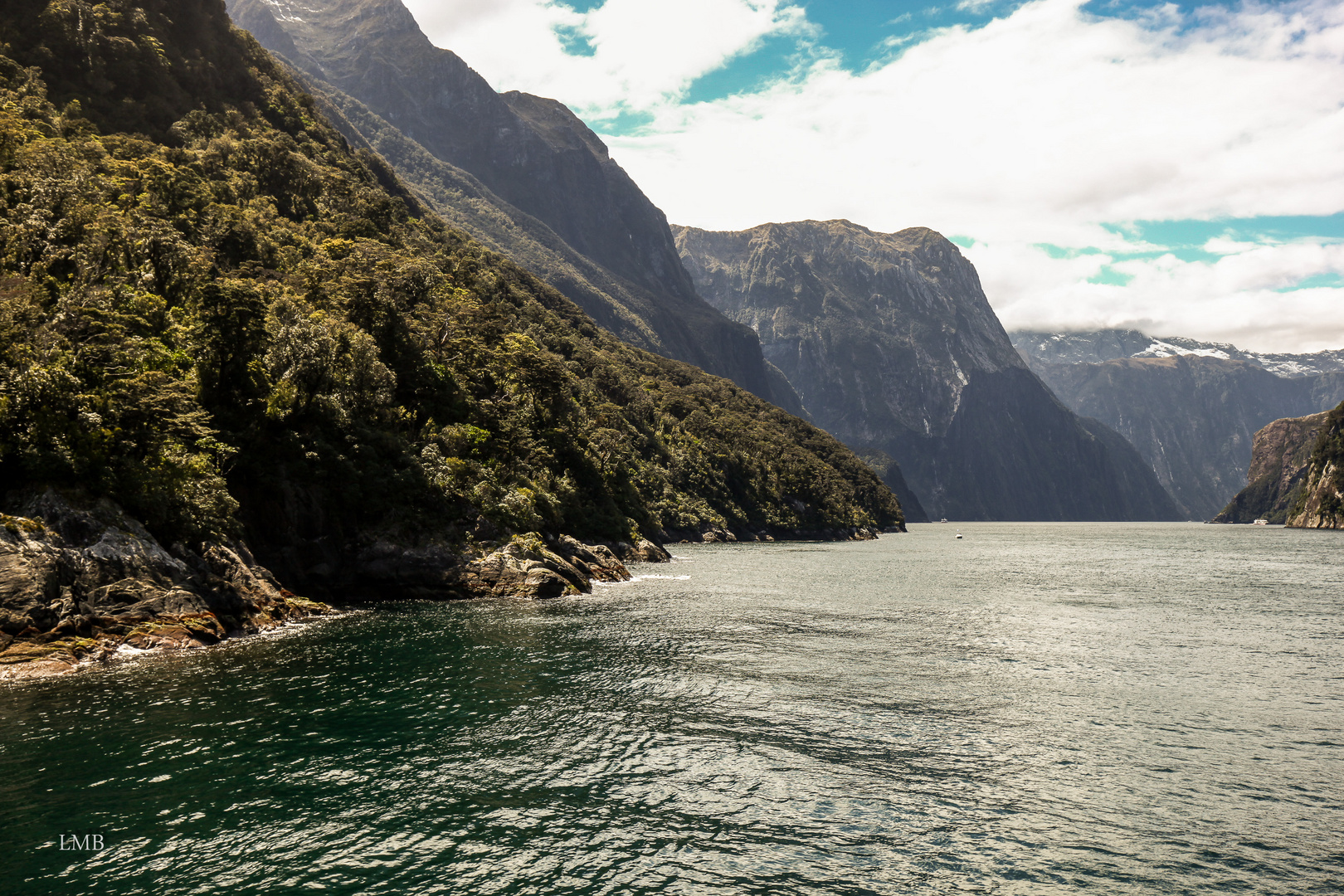 Rush hour to the Tasman Sea