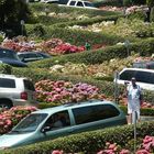 rush hours at lombard street