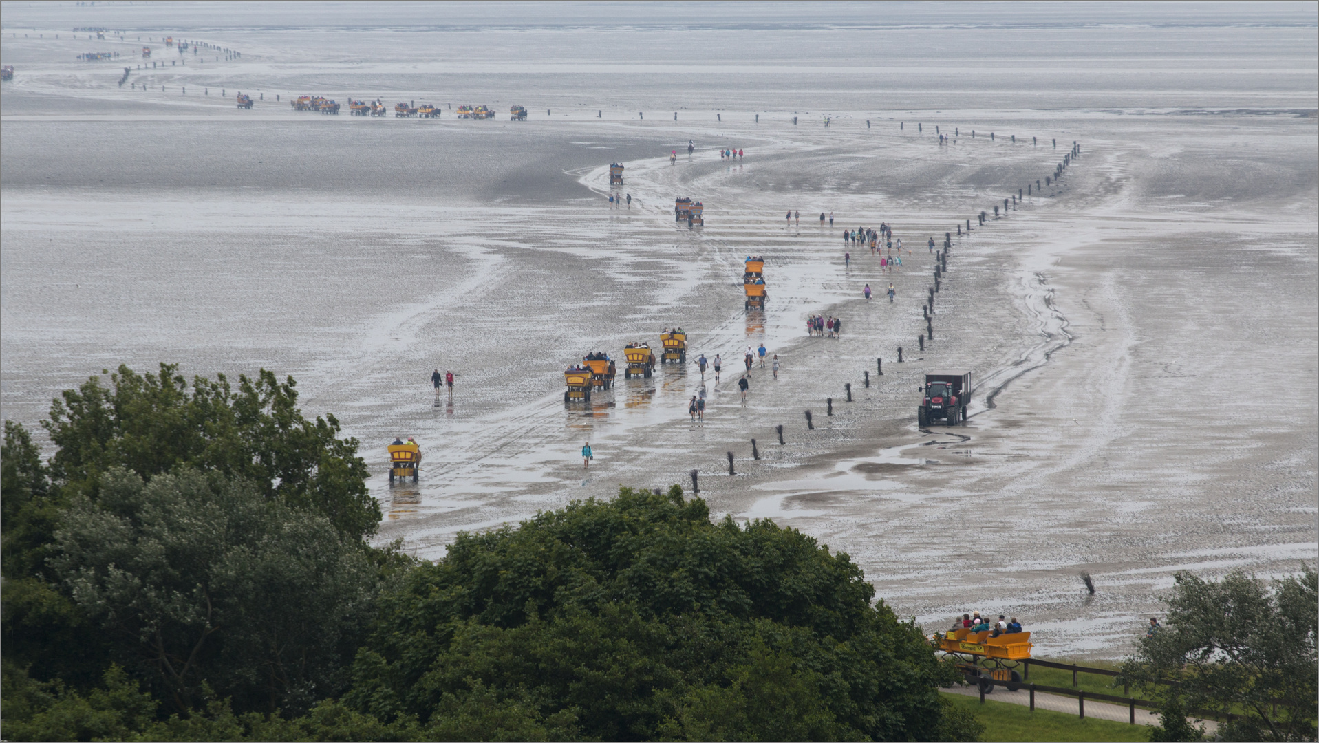 Rushhour auf dem Besenweg von Neuwerk nach Cuxhaven