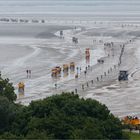 Rushhour auf dem Besenweg von Neuwerk nach Cuxhaven