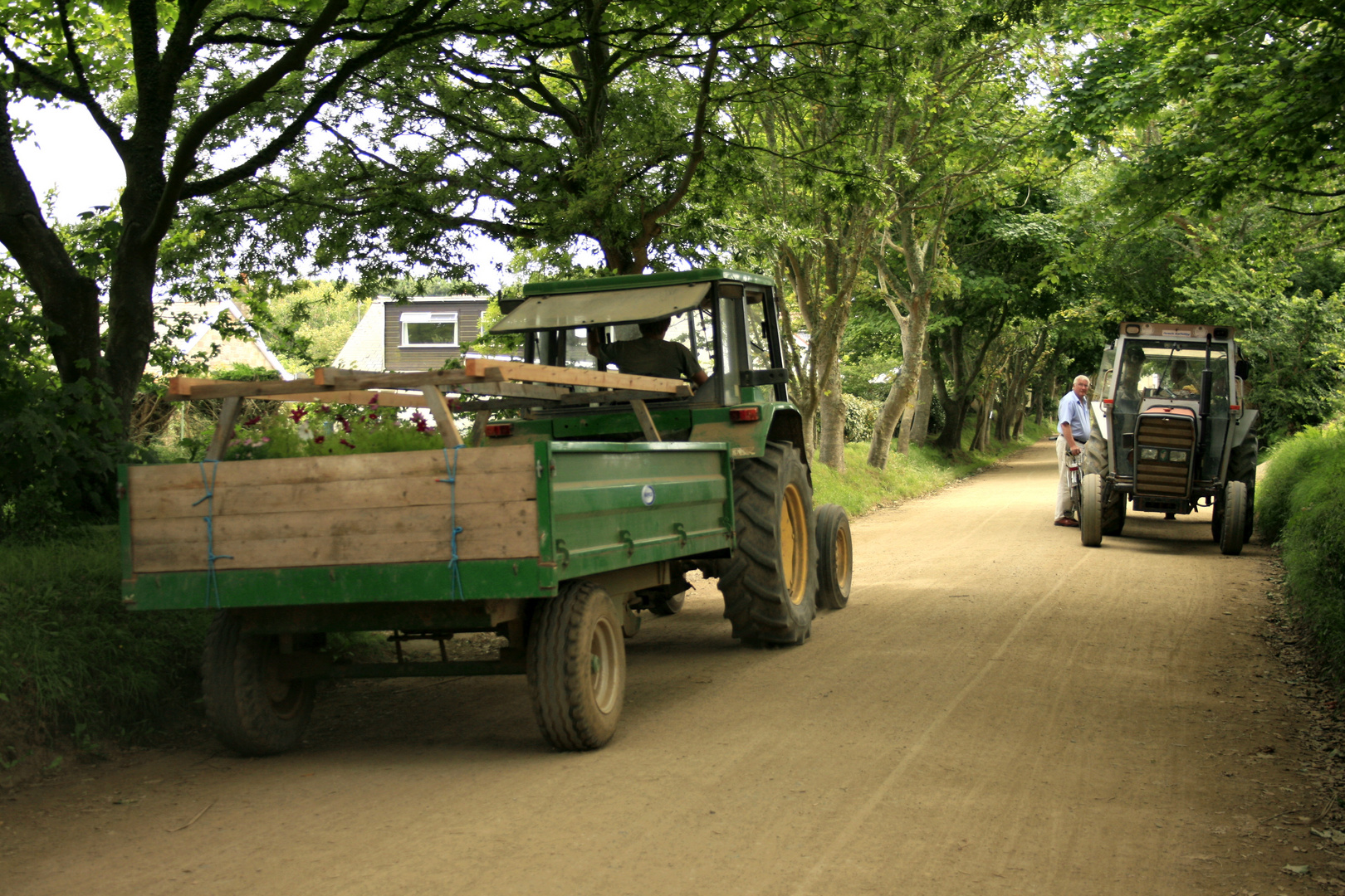 Rushhour auf Sark