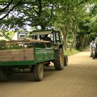 Rushhour auf Sark