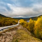 Ruska zwischen Utsjoki und Karigasniemi