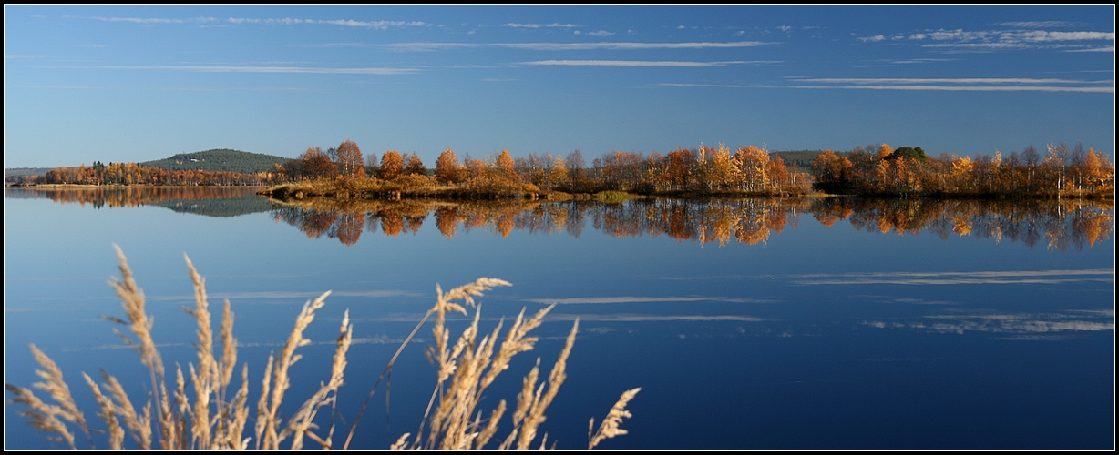 Ruska_am_Kemijoki