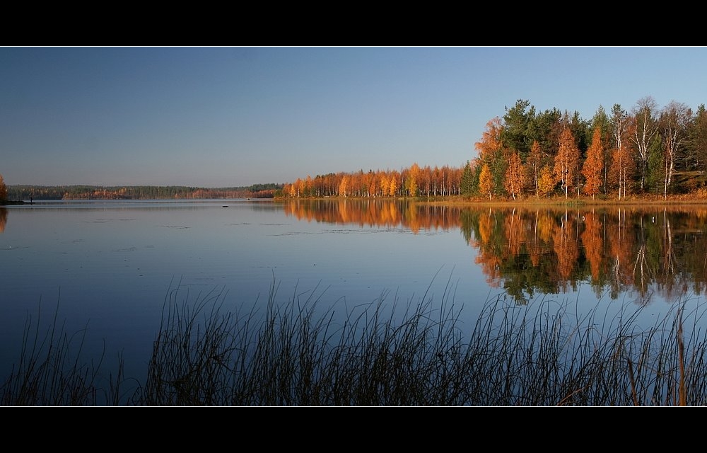 Ruskazeit_im_Norden_Finnlands