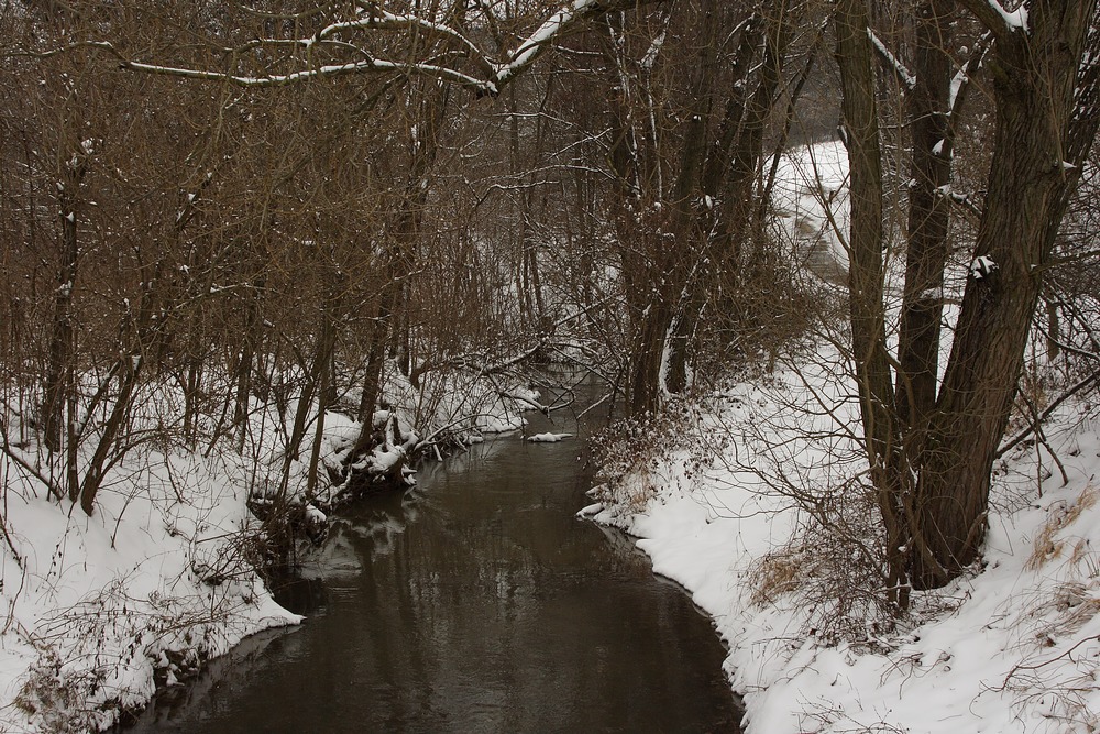 Rußbach im Schneemantel