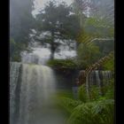 Russel Falls Tasmania