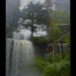 Russel Falls Tasmania