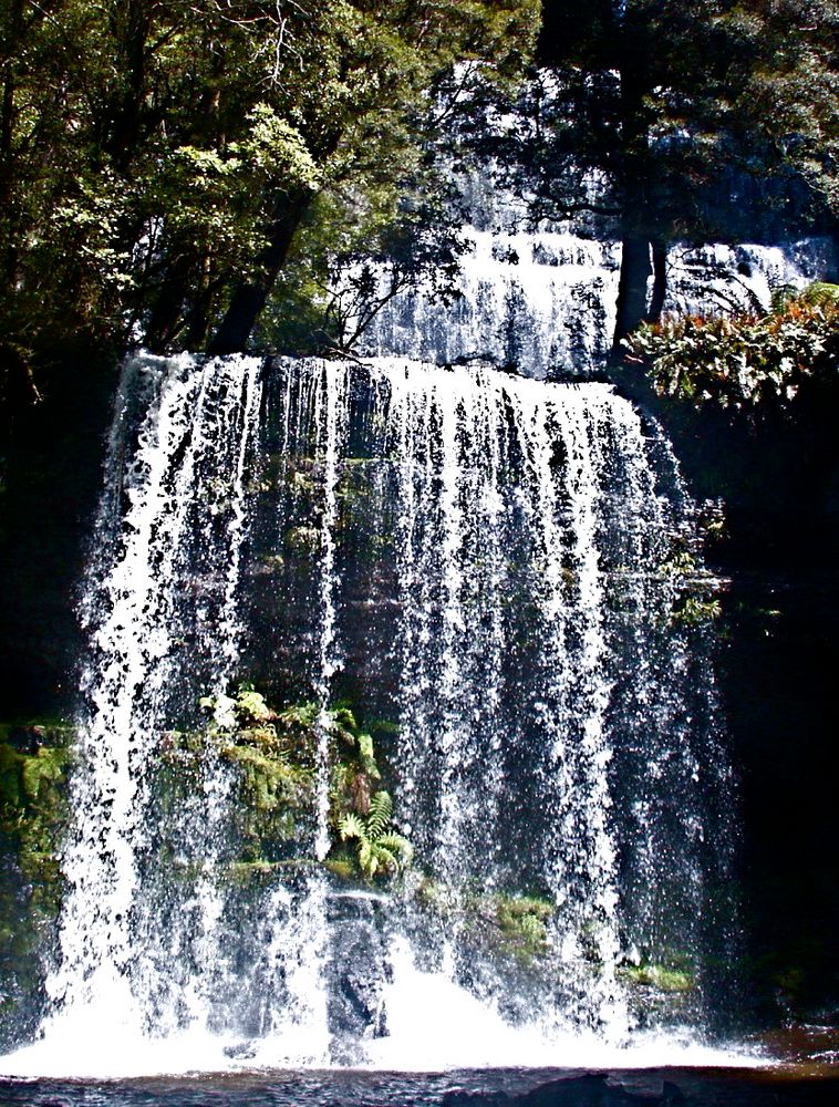 Russel Falls Tasmanien