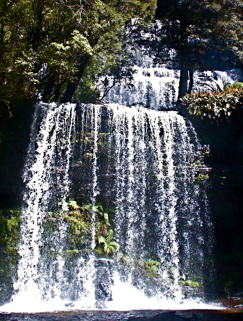 Russel Falls Tasmanien