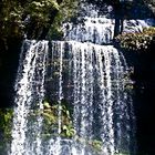 Russel Falls Tasmanien