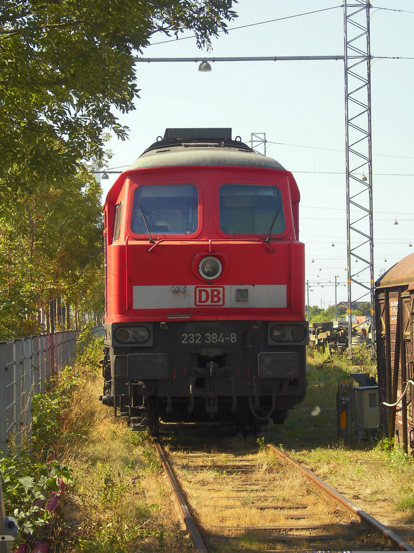 Russen in Dänemark