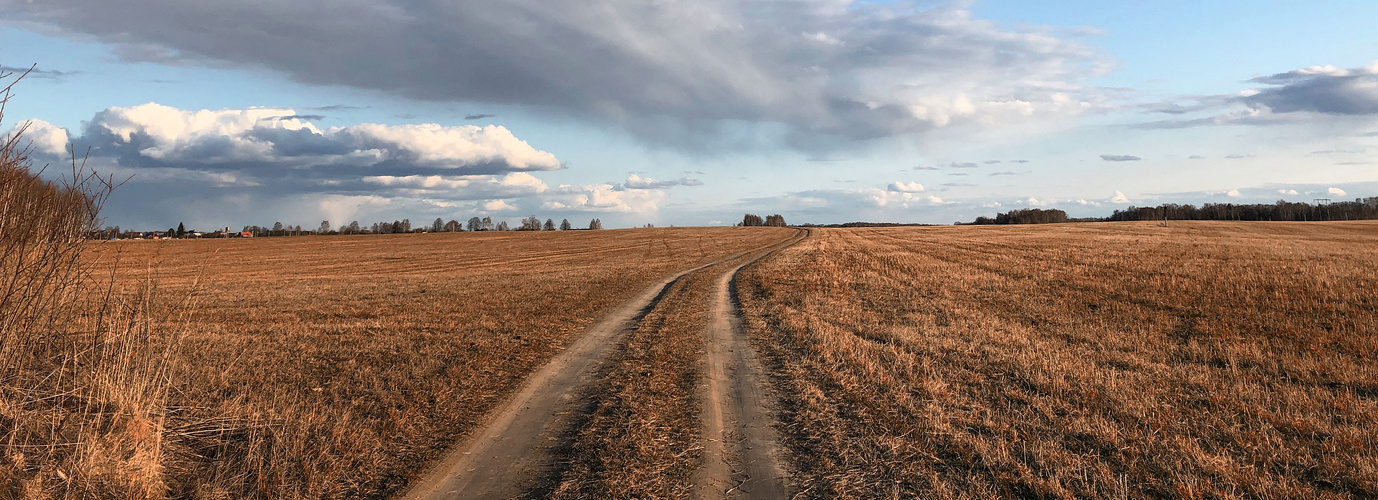 Russian field